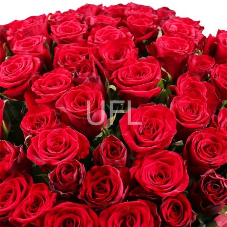 Bouquet 1000 roses - 1001 red roses 