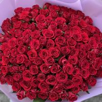 red rose (101 pcs.), packaging, ribbon
