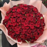 red rose (151 pcs.), oasis, packaging, ribbon