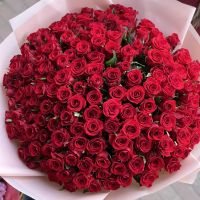 red rose (151 pcs.), oasis, packaging, ribbon