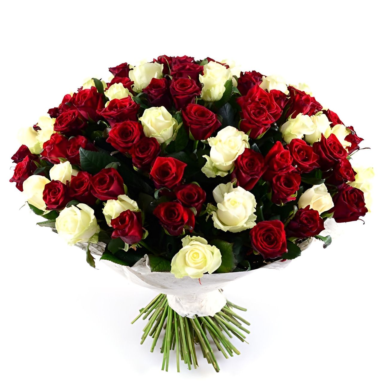 white rose (45 pcs.), packaging, ribbon; red rose (56 pcs.), packaging, ribbon