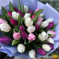 Bouquet 35 tulips mix