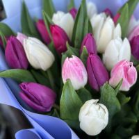 Bouquet 35 tulips mix