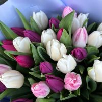 Bouquet 35 tulips mix