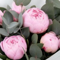 peony, eucalyptus (7 pcs.), packaging, ribbon