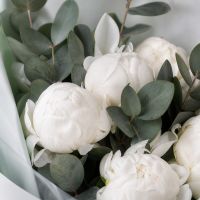peony (7 pcs.), eucalyptus, packaging, ribbon