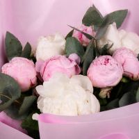 white peony (7 pcs.), pink peony, eucalyptus, packaging, ribbon