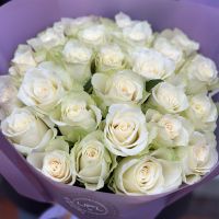 white rose (25 pcs.), packaging, ribbon