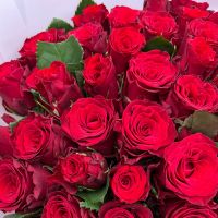 rose (25 pcs.), packaging, ribbon