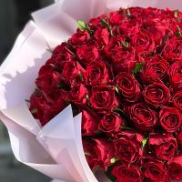 rose (101 pcs.), packaging, ribbon