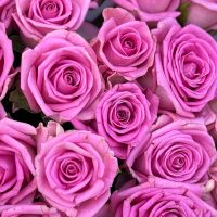 pink rose (25 pcs.), packaging, ribbon