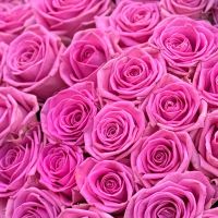 pink rose (101 pcs.), packaging, ribbon
