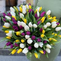 Bouquet 101 tulips