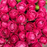 Bouquet Arrangement roses in a box 11 pcs