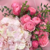 pink hydrangea, rose silva pink bubbles (5 pcs.), eucalyptus (2 pcs.), packaging, ribbon