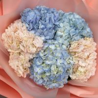 Bouquet 5 hydrangeas