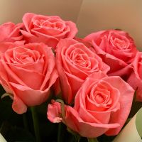 coral rose (7 pcs.), packaging, ribbon