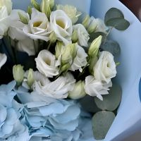 hydrangea, eustoma (3 pcs.), eucalyptus, packaging, ribbon