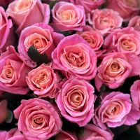 rose (51 pcs.), packaging, ribbon