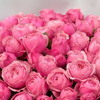 rose (51 pcs.), packaging, ribbon