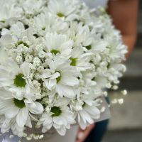 Bouquet White chrysanthemum in a box