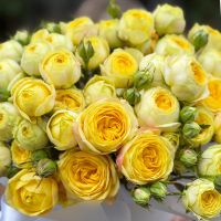 Bouquet Yellow spray roses in a box