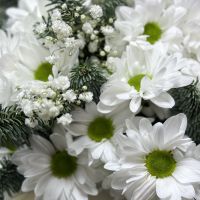 Bouquet Snow miracle