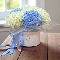 Bouquet Tender hydrangeas in a box