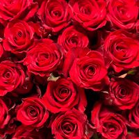 Bouquet 51 red roses in black wrapping