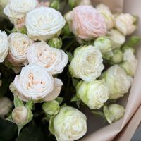 Bouquet Bouquet of tender spray roses