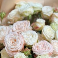 Bouquet Spray of 9 roses + Raffaello