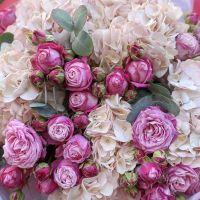Bouquet Powder bouquet of hydrangea and roses