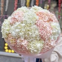 Bouquet Tender cloud of hydrangeas 15 pcs