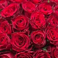 Bouquet  25 red roses Kenia