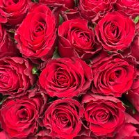 Bouquet 51 red roses Kenia