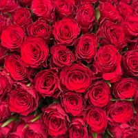 Bouquet 101 red roses Kenia