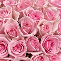 Bouquet 51 pink roses Kenia