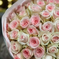 Bouquet 51 pink roses Kenia