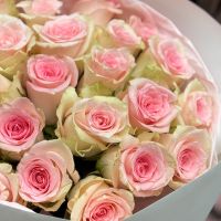 Bouquet 25 pink roses Kenia