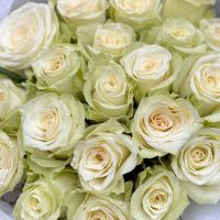 Bouquet  25 white roses Kenia
