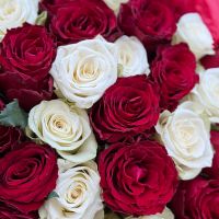 Bouquet 51 red and white roses Kenia