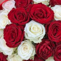 Bouquet  25 red and white roses Kenia
