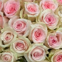 Bouquet Pink rose Kenia by piece