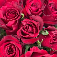 Bouquet 11 red roses Kenia