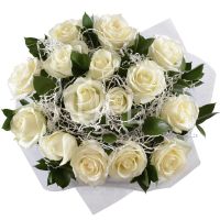 white rose (15 pcs.), packaging, ribbon