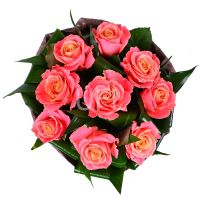 aspidistra, rose (9 pcs.), packaging, ribbon
