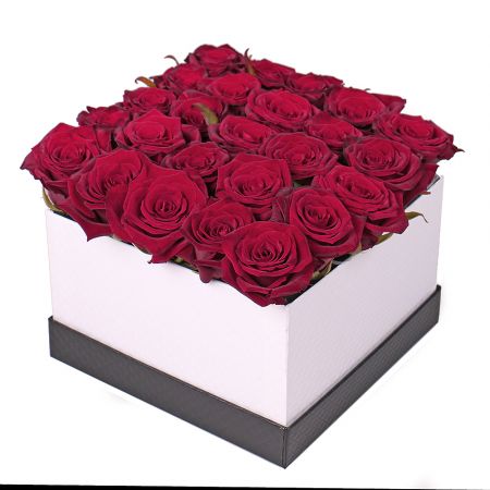 rose (25 pcs.), oasis, box, packaging, ribbon