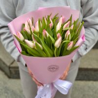 Bouquet 25 pink tulips