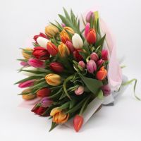 Bouquet Tulips!