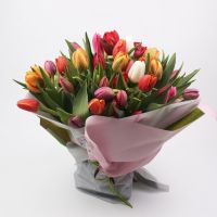Bouquet Tulips!